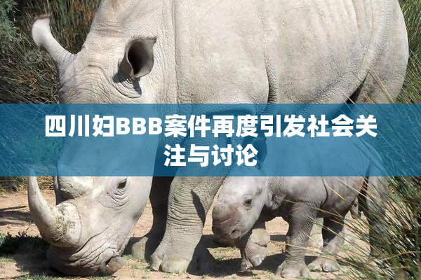 四川妇BBB案件再度引发社会关注与讨论