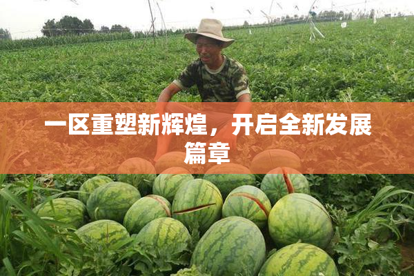 一区重塑新辉煌，开启全新发展篇章