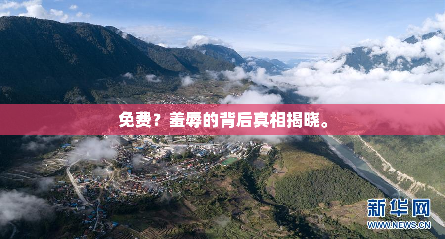免费？羞辱的背后真相揭晓。
