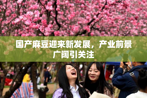 国产麻豆迎来新发展，产业前景广阔引关注