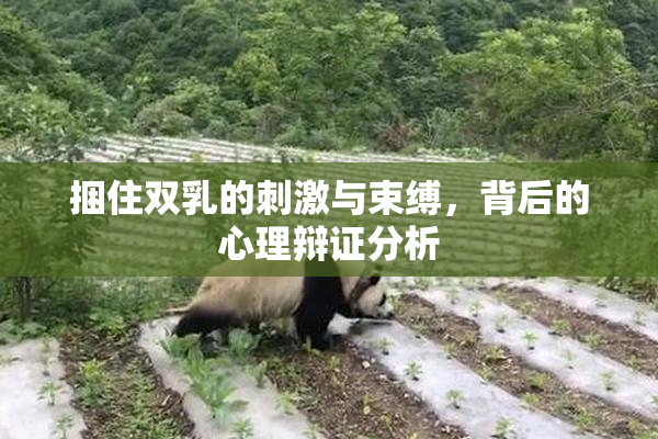捆住双乳的刺激与束缚，背后的心理辩证分析