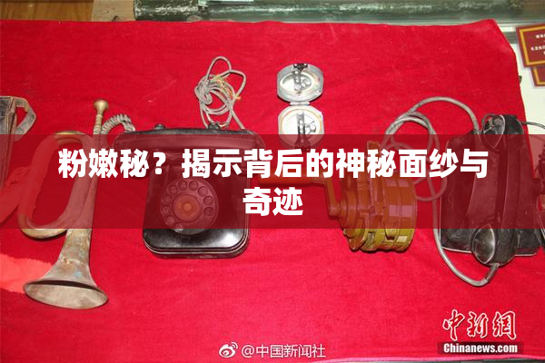 粉嫩秘？揭示背后的神秘面纱与奇迹