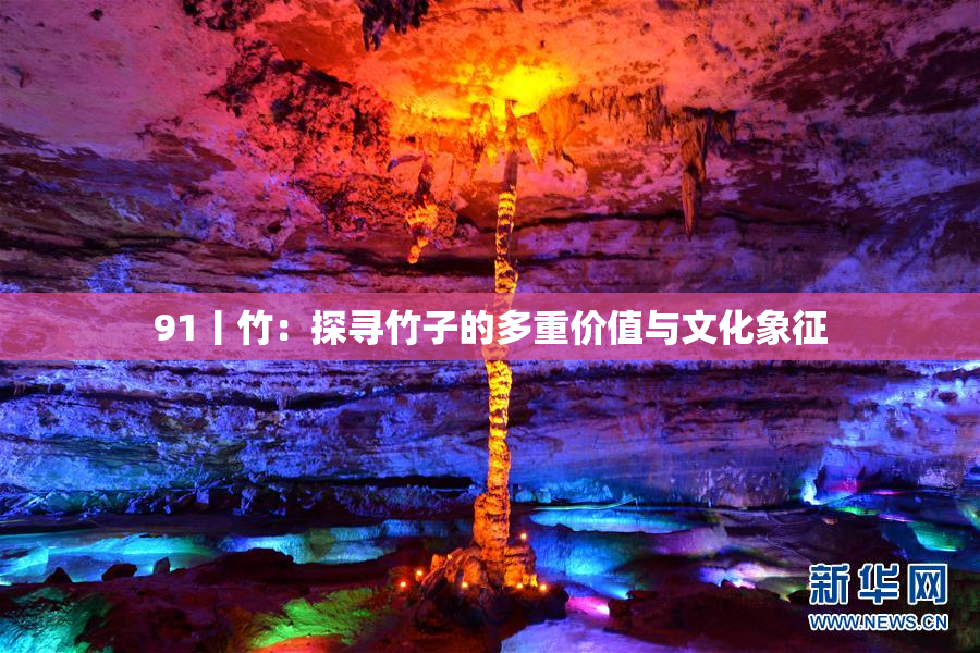 91丨竹：探寻竹子的多重价值与文化象征