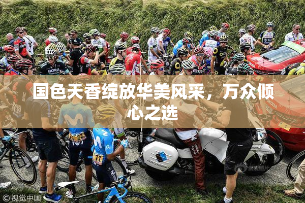 国色天香绽放华美风采，万众倾心之选