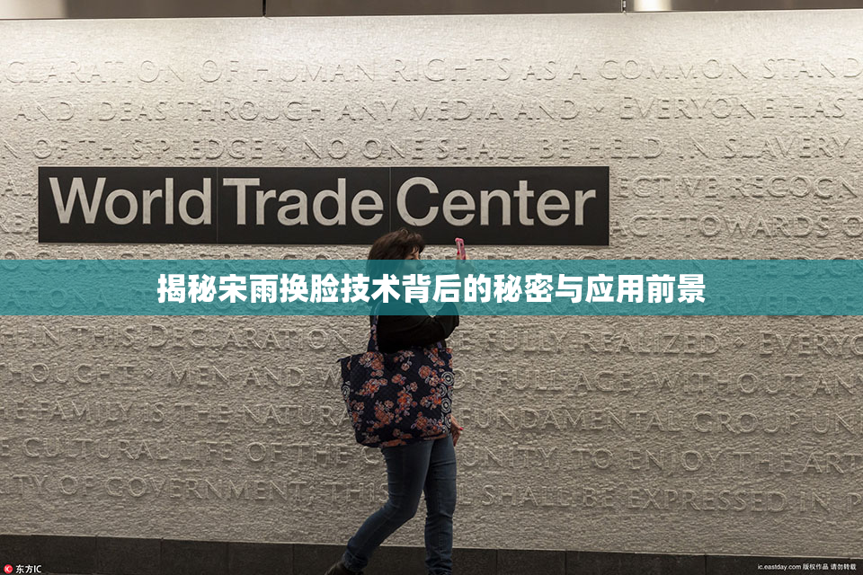 揭秘宋雨换脸技术背后的秘密与应用前景