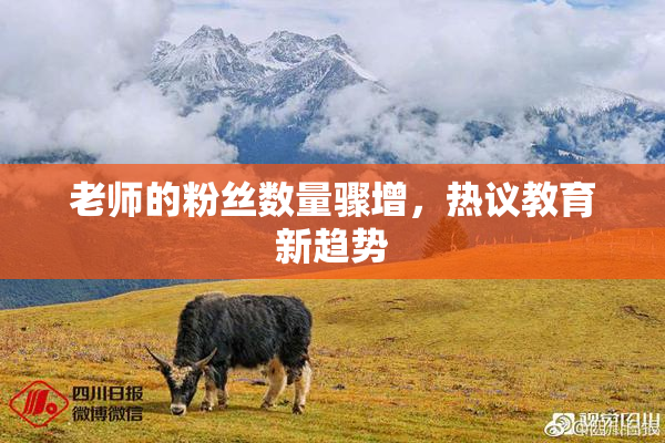 老师的粉丝数量骤增，热议教育新趋势