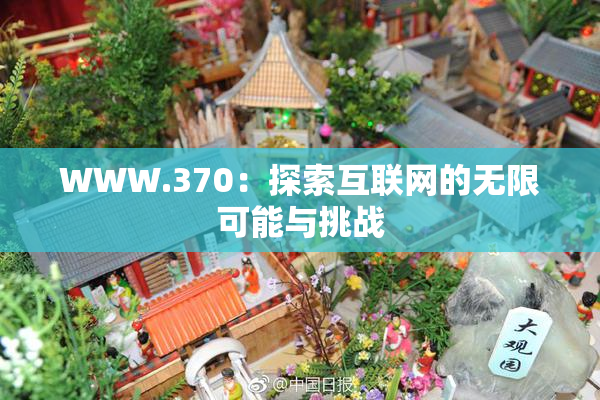 WWW.370：探索互联网的无限可能与挑战