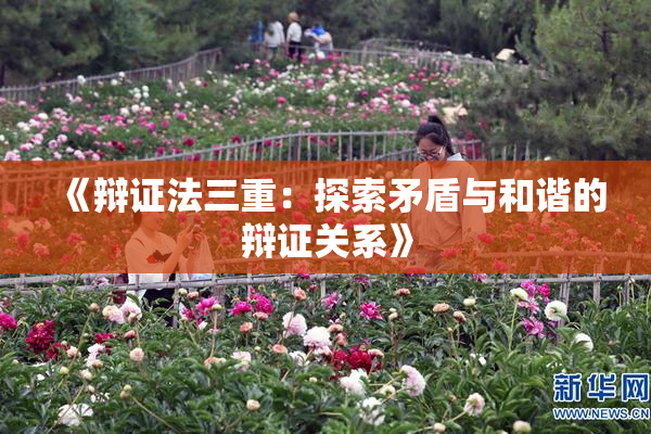 《辩证法三重：探索矛盾与和谐的辩证关系》