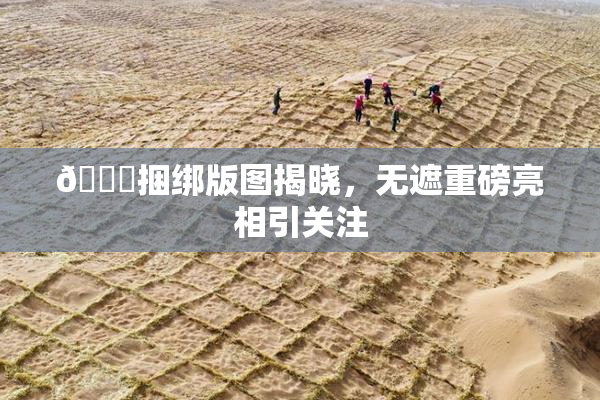 🔞捆绑版图揭晓，无遮重磅亮相引关注