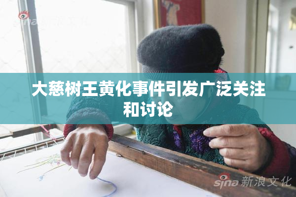 大慈树王黄化事件引发广泛关注和讨论
