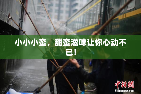 小小小蜜，甜蜜滋味让你心动不已！