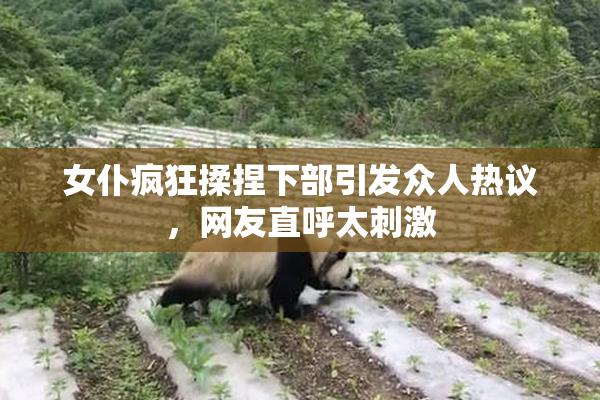 女仆疯狂揉捏下部引发众人热议，网友直呼太刺激