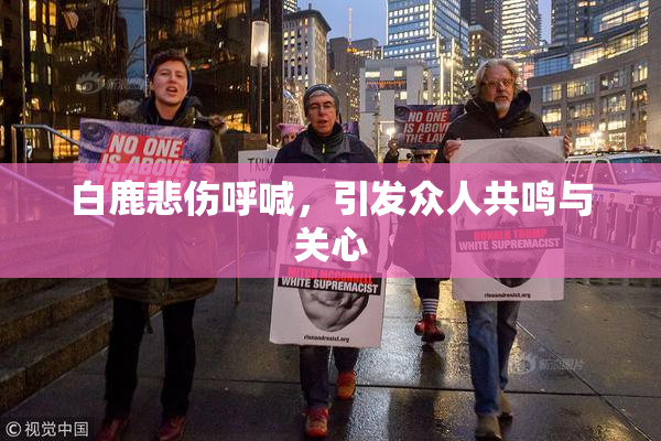 白鹿悲伤呼喊，引发众人共鸣与关心
