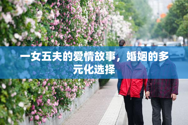 一女五夫的爱情故事，婚姻的多元化选择