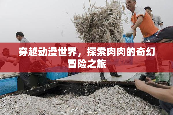 穿越动漫世界，探索肉肉的奇幻冒险之旅