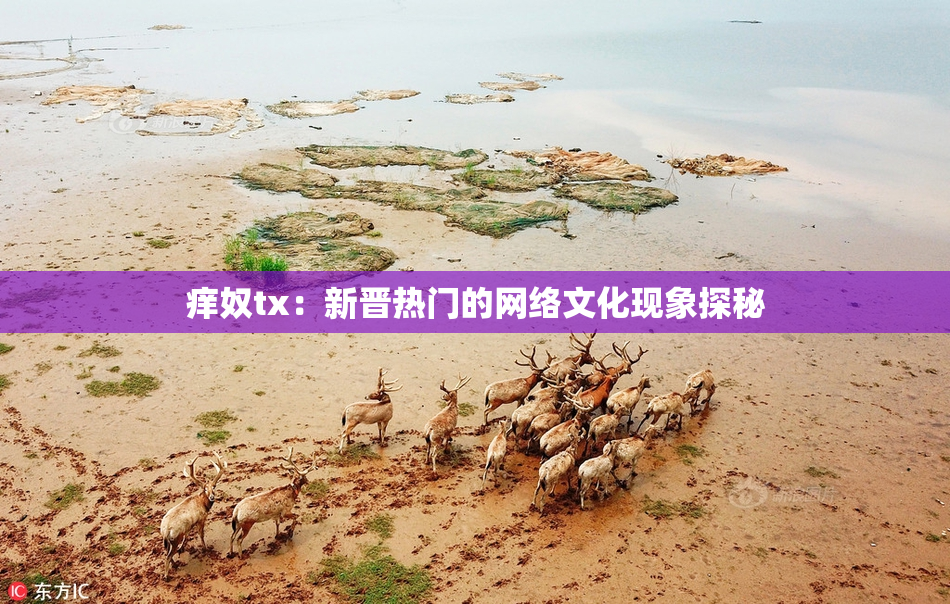 痒奴tx：新晋热门的网络文化现象探秘