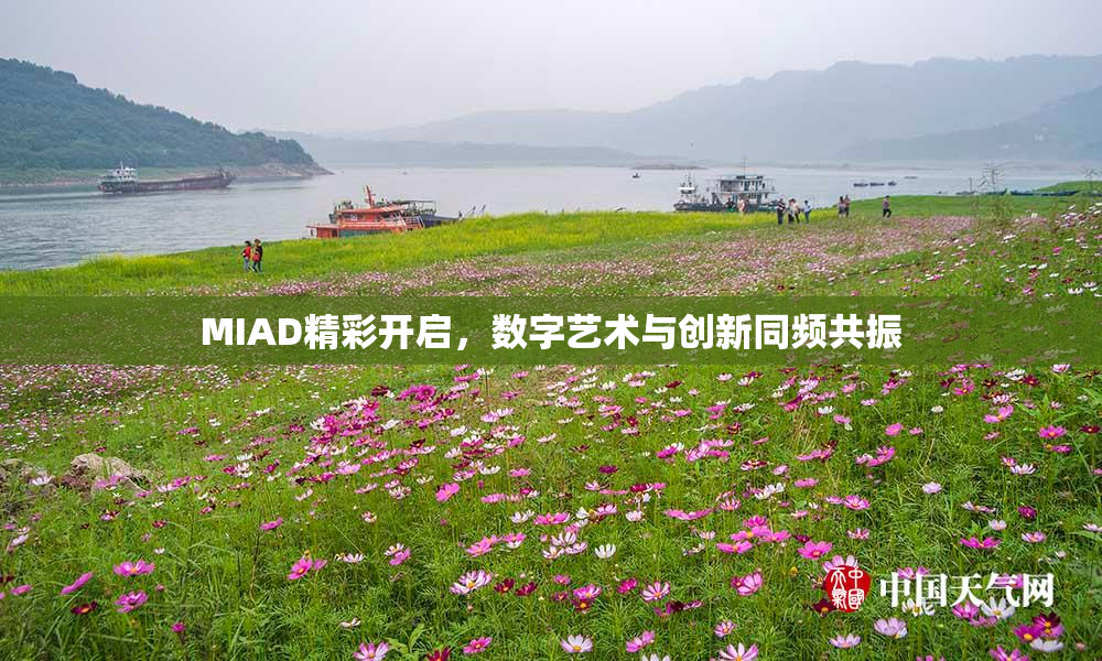 MIAD精彩开启，数字艺术与创新同频共振