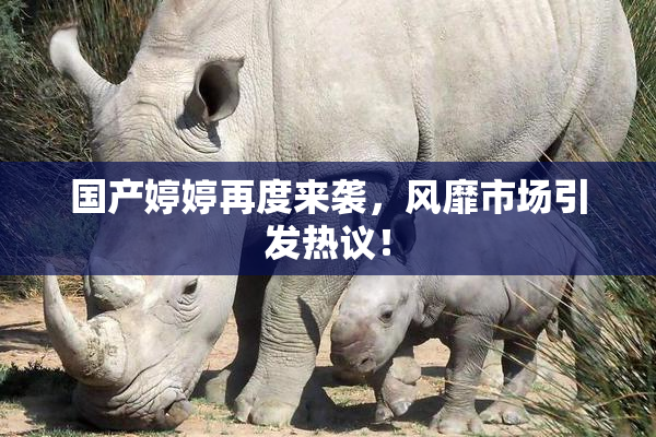 国产婷婷再度来袭，风靡市场引发热议！