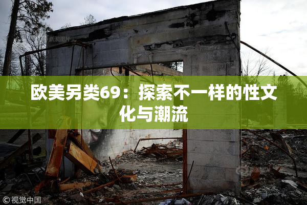 欧美另类69：探索不一样的性文化与潮流