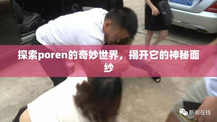探索poren的奇妙世界，揭开它的神秘面纱
