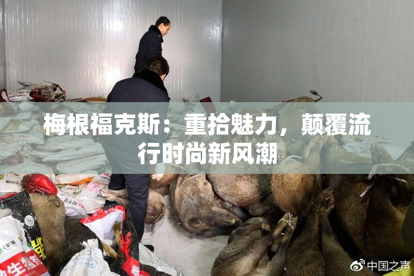 梅根福克斯：重拾魅力，颠覆流行时尚新风潮