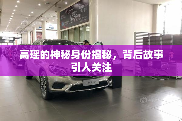 高瑶的神秘身份揭秘，背后故事引人关注