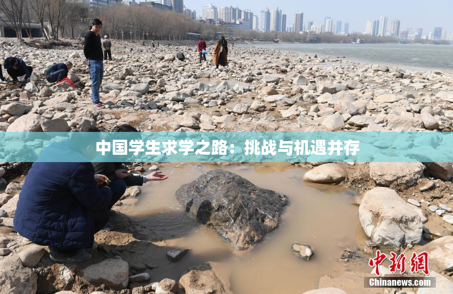 中国学生求学之路：挑战与机遇并存