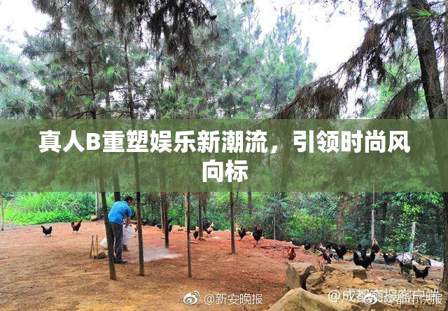 真人B重塑娱乐新潮流，引领时尚风向标