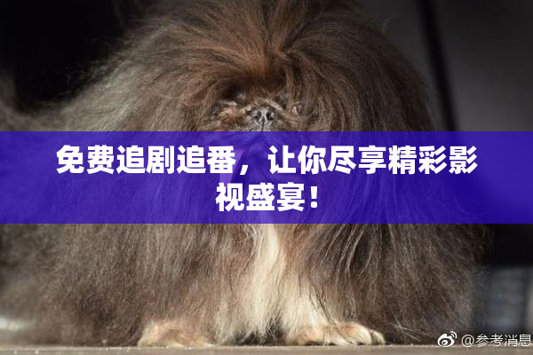 免费追剧追番，让你尽享精彩影视盛宴！