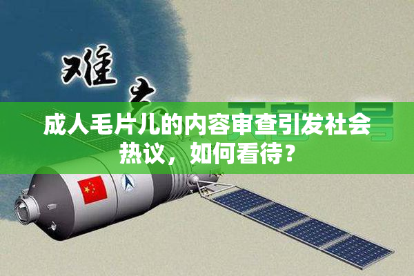 成人毛片儿的内容审查引发社会热议，如何看待？