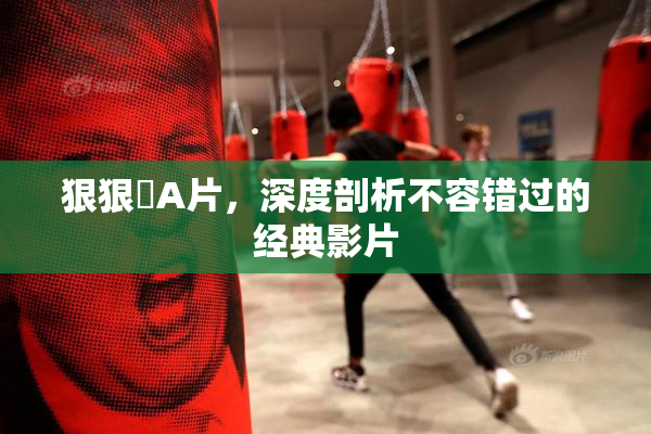 狠狠穞A片，深度剖析不容错过的经典影片
