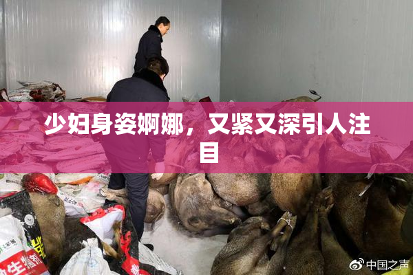 少妇身姿婀娜，又紧又深引人注目