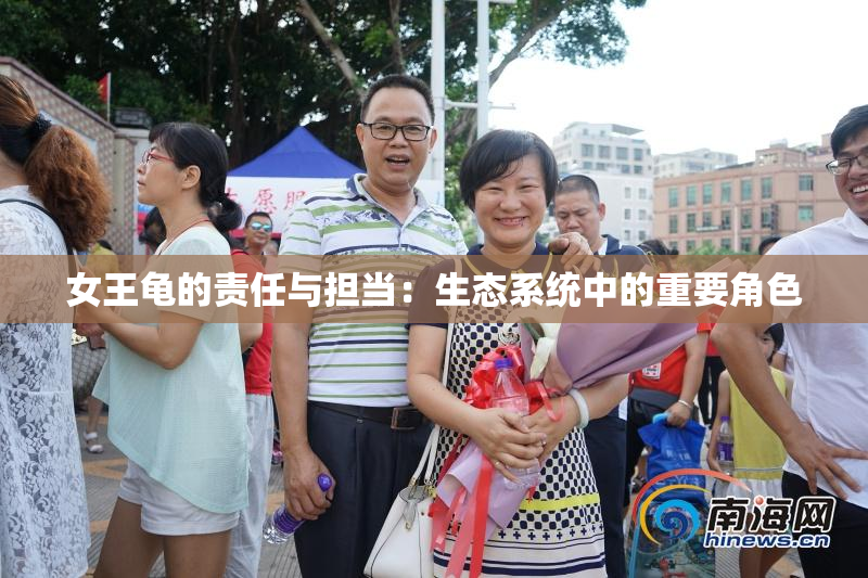 女王龟的责任与担当：生态系统中的重要角色