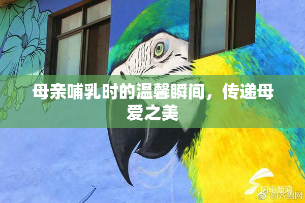 母亲哺乳时的温馨瞬间，传递母爱之美