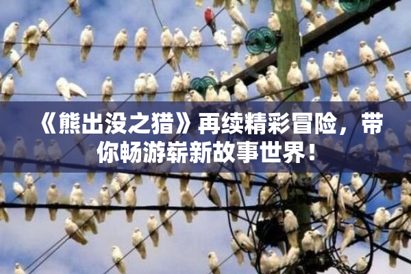 《熊出没之猎》再续精彩冒险，带你畅游崭新故事世界！