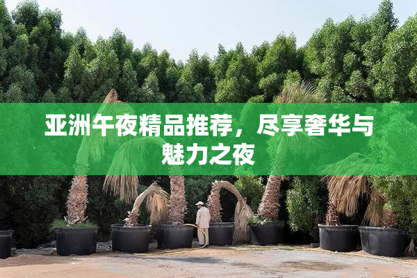 亚洲午夜精品推荐，尽享奢华与魅力之夜