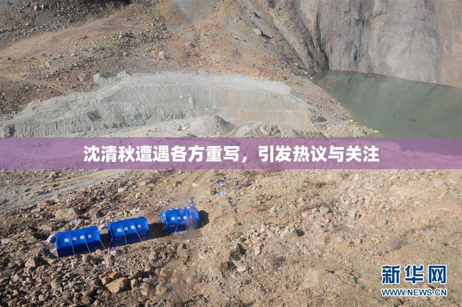 沈清秋遭遇各方重写，引发热议与关注