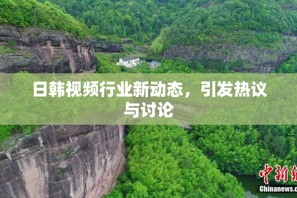 日韩视频行业新动态，引发热议与讨论