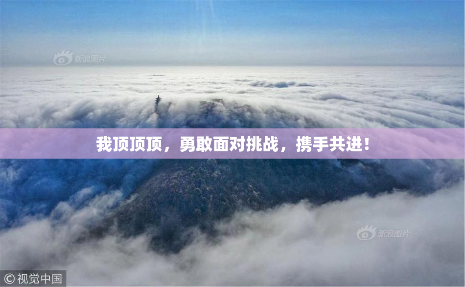 我顶顶顶，勇敢面对挑战，携手共进！