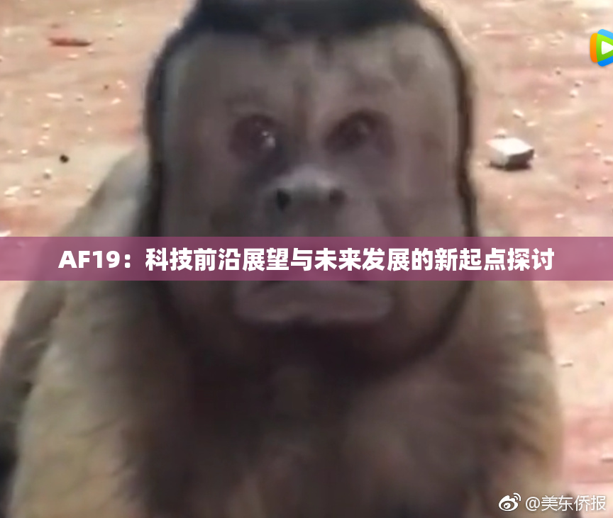 AF19：科技前沿展望与未来发展的新起点探讨