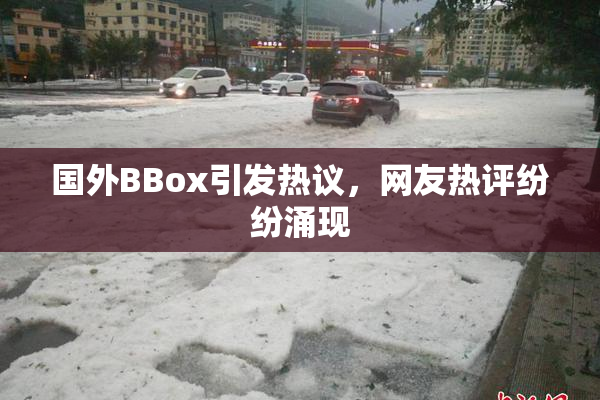 国外BBox引发热议，网友热评纷纷涌现