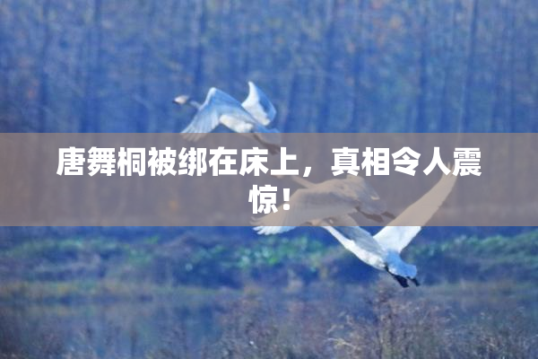 唐舞桐被绑在床上，真相令人震惊！