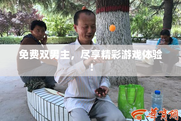 免费双男主，尽享精彩游戏体验！