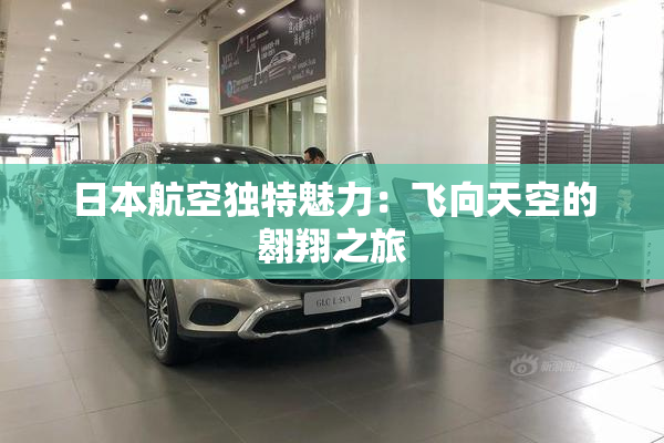 日本航空独特魅力：飞向天空的翱翔之旅
