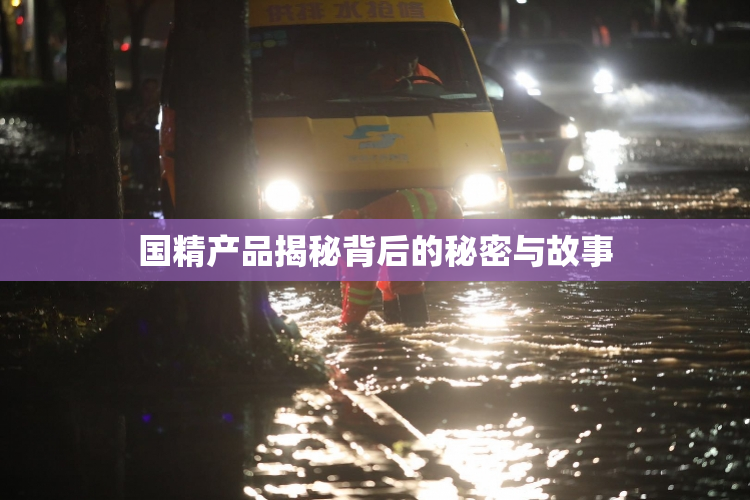 国精产品揭秘背后的秘密与故事