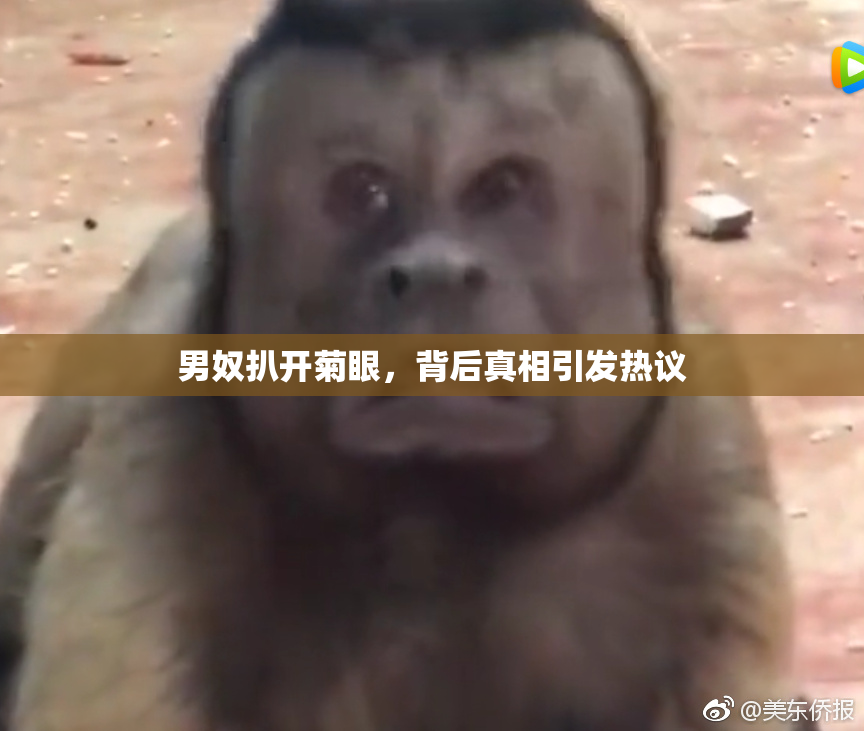 男奴扒开菊眼，背后真相引发热议