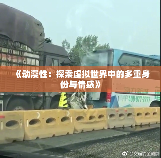 《动漫性：探索虚拟世界中的多重身份与情感》