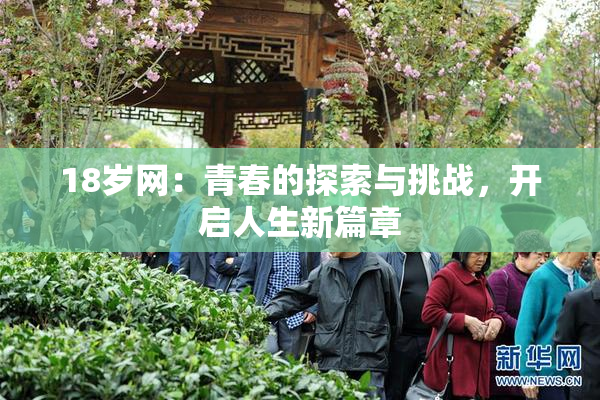 18岁网：青春的探索与挑战，开启人生新篇章
