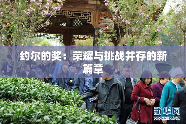 约尔的奖：荣耀与挑战并存的新篇章