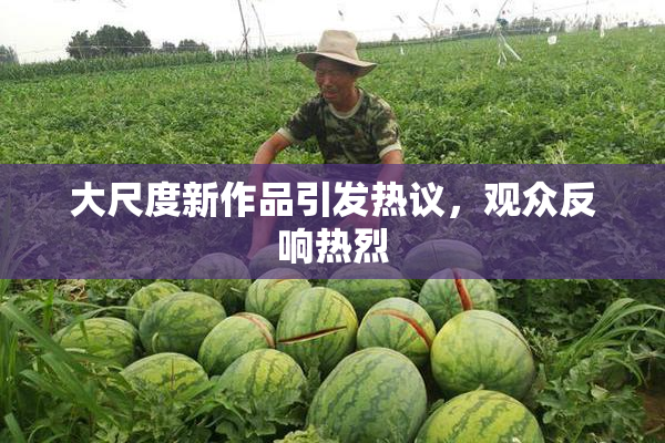 大尺度新作品引发热议，观众反响热烈